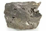Herkimer Diamonds in Matrix - The Ace of Diamonds Mine, New York #324475-3